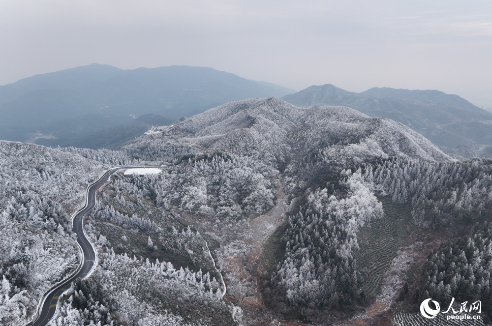 受寒潮影響，南昌最高處的梅嶺銀裝素裹，不少游客冒著嚴寒上山賞景。人民網記者 時雨攝