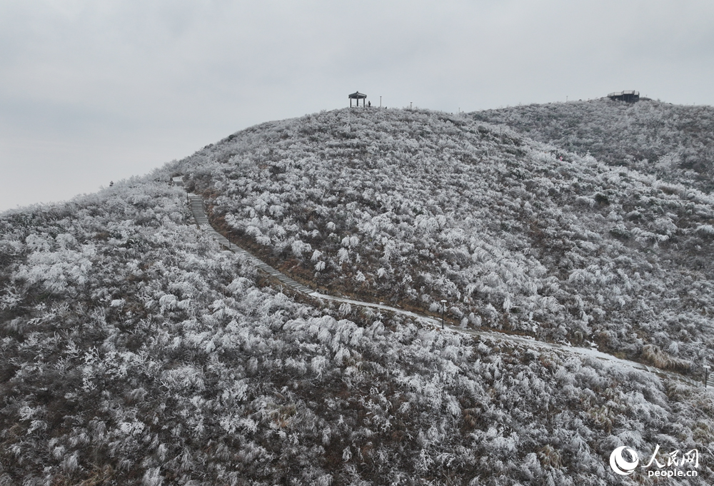 受寒潮影響，南昌最高處的梅嶺銀裝素裹，不少游客冒著嚴寒上山賞景。人民網記者 時雨攝