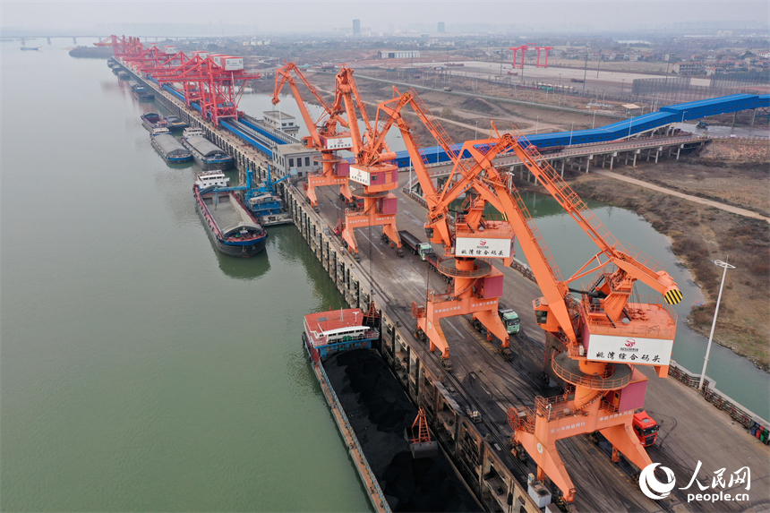 大型吊机正在卸载电煤，码头上的货车随即转运至各电厂。人民网记者 时雨摄