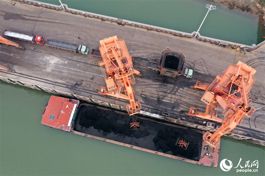 大型吊机正在卸载电煤，码头上的货车随即转运至各电厂。人民网记者 时雨摄