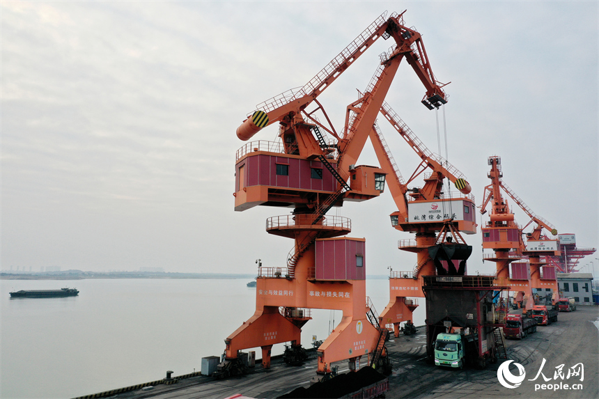 大型吊机正在卸载电煤，码头上的货车随即转运至各电厂。人民网记者 时雨摄