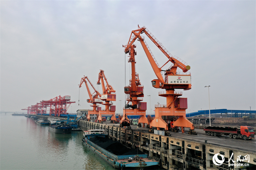 大型吊机正在卸载电煤，码头上的货车随即转运至各电厂。人民网记者 时雨摄