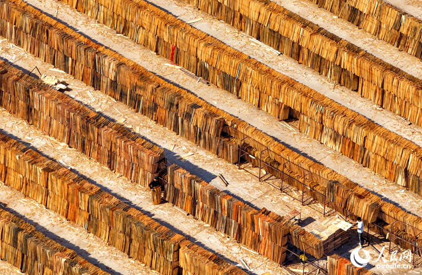 赣州市兴国县江背镇郑塘村的一处板材加工基地，村民利用晴好天气的有利时机在晾晒板皮。人民网记者 朱海鹏摄