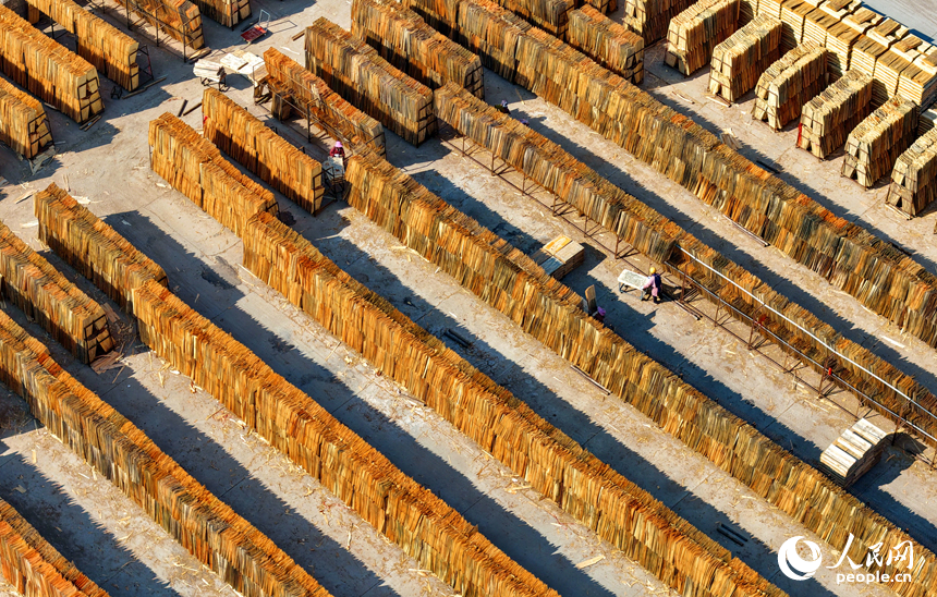 赣州市兴国县江背镇郑塘村的一处板材加工基地，村民利用晴好天气的有利时机在晾晒板皮。人民网记者 朱海鹏摄