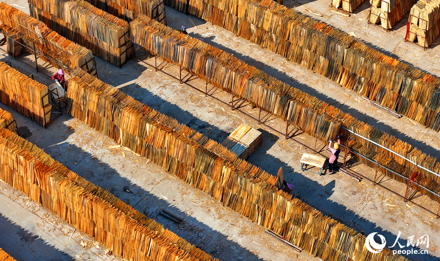 赣州市兴国县江背镇郑塘村的一处板材加工基地，村民利用晴好天气的有利时机在晾晒板皮。人民网记者 朱海鹏摄