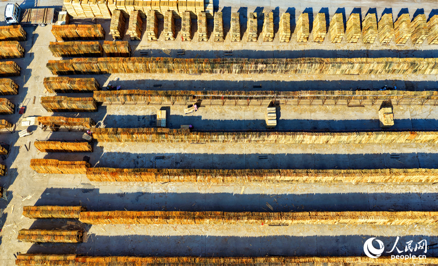 赣州市兴国县江背镇郑塘村的一处板材加工基地，村民利用晴好天气的有利时机在晾晒板皮。人民网记者 朱海鹏摄