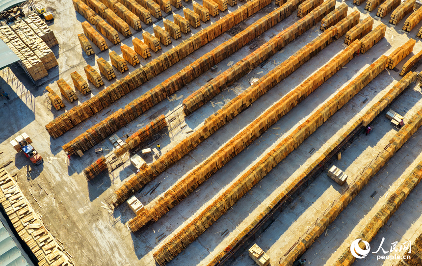 赣州市兴国县江背镇郑塘村的一处板材加工基地，村民利用晴好天气的有利时机在晾晒板皮。人民网记者 朱海鹏摄