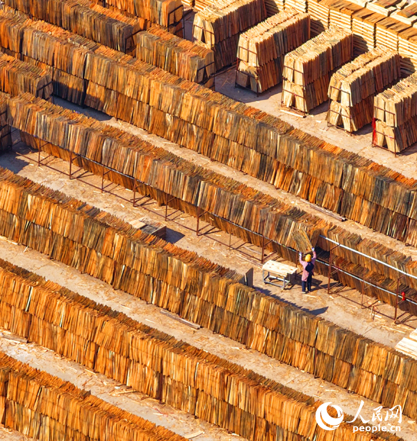 赣州市兴国县江背镇郑塘村的一处板材加工基地，村民利用晴好天气的有利时机在晾晒板皮。人民网记者 朱海鹏摄