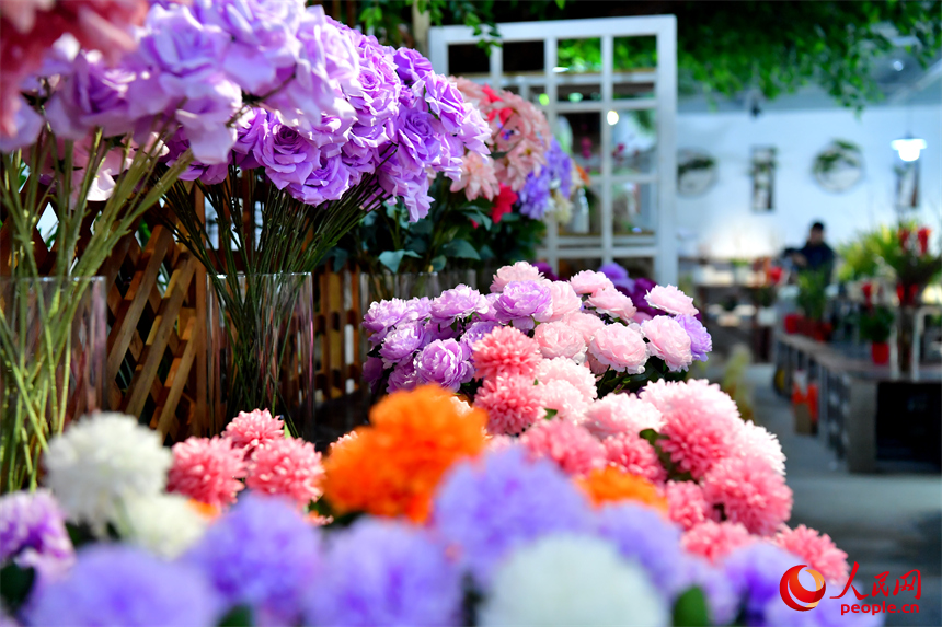 九洲公園迎春花市各色鮮花綠植爭奇斗艷。人民網記者 時雨攝