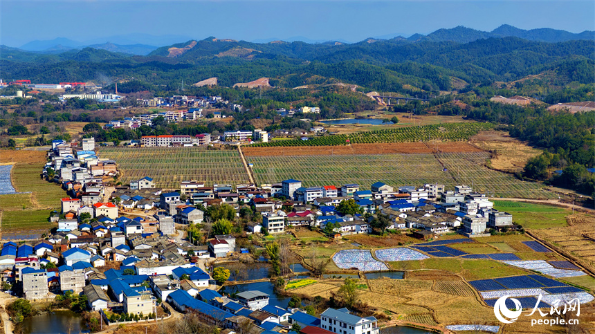 江西省瑞金市武陽鎮安富村，一幅路暢景美的和美鄉村畫卷映入眼帘。人民網記者 朱海鵬攝