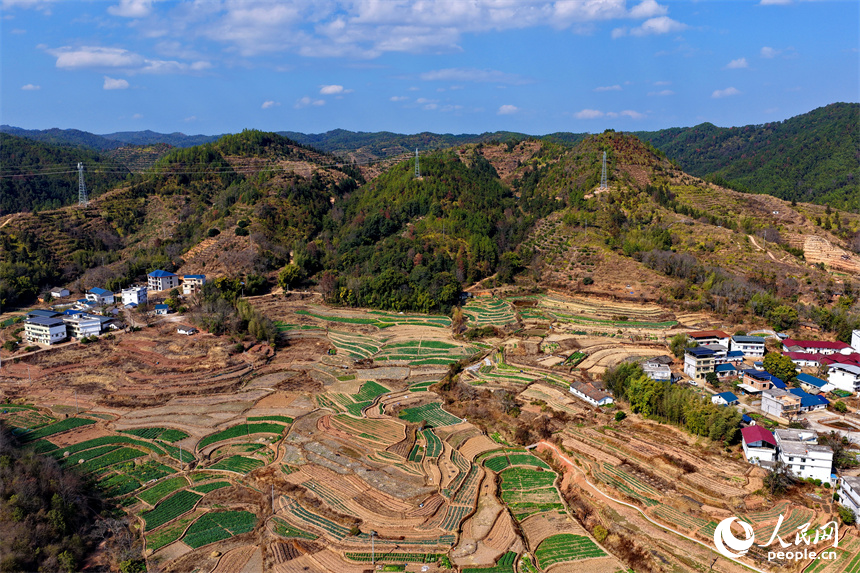 江西省瑞金市武陽鎮安富村，一幅路暢景美的和美鄉村畫卷映入眼帘。人民網記者 朱海鵬攝