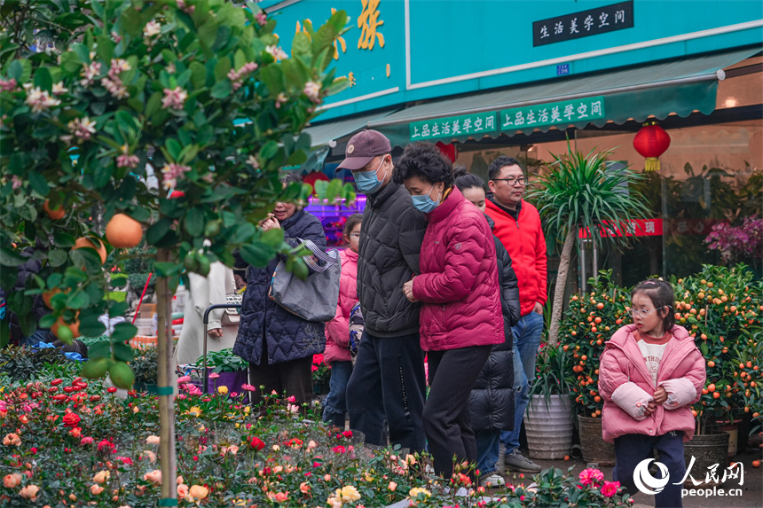 南昌：新年花市消费热