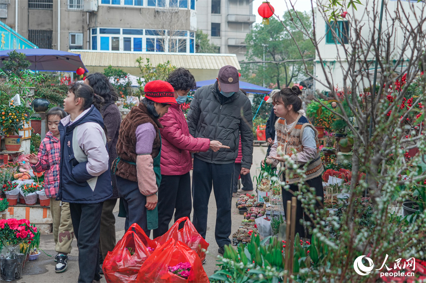 市民穿梭花海精心挑选花艺年货，感受新春烟火气。 人民网 涂诗轩摄