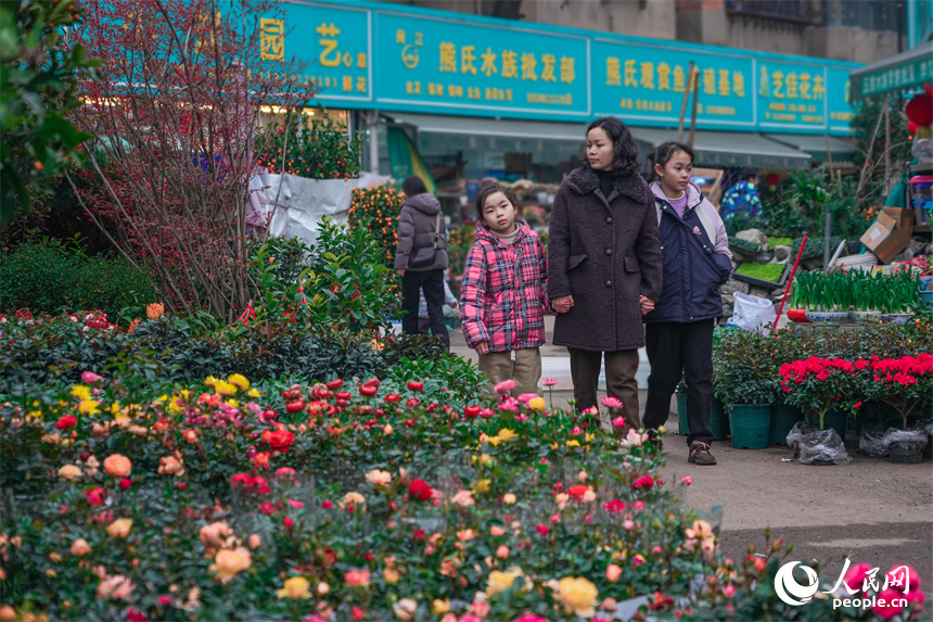 市民穿梭花海精心挑选花艺年货，感受新春烟火气。 人民网 涂诗轩摄