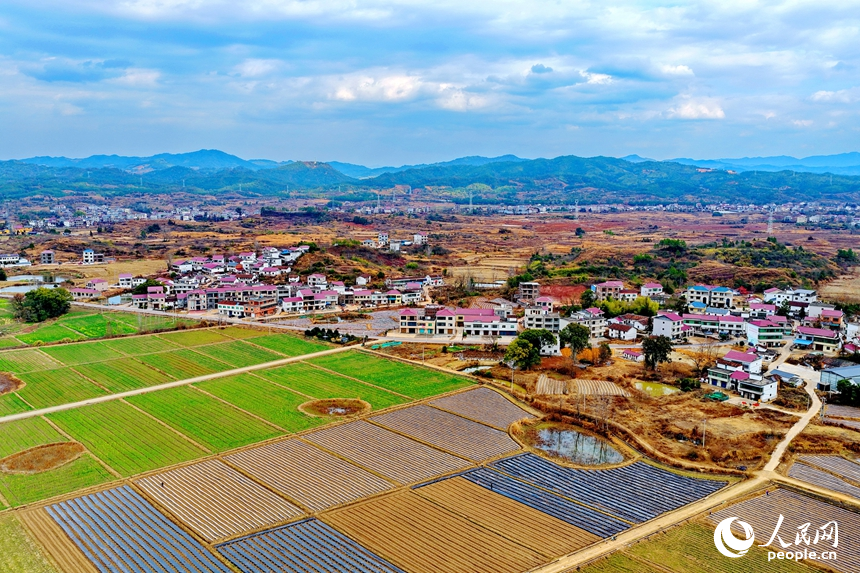 抚州市广昌县甘竹镇图石村阡陌纵横、色彩斑斓，连片的高标准农田与房舍、山峦、树木相映衬，构成一幅冬去春来时节的和美田园画卷。人民网记者 朱海鹏摄