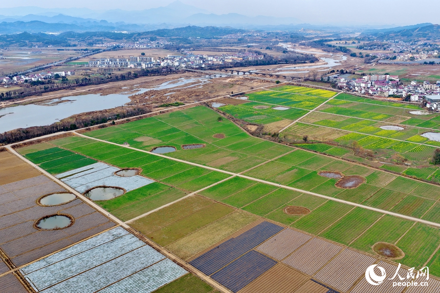 抚州市广昌县甘竹镇图石村阡陌纵横、色彩斑斓，连片的高标准农田与房舍、山峦、树木相映衬，构成一幅冬去春来时节的和美田园画卷。人民网记者 朱海鹏摄