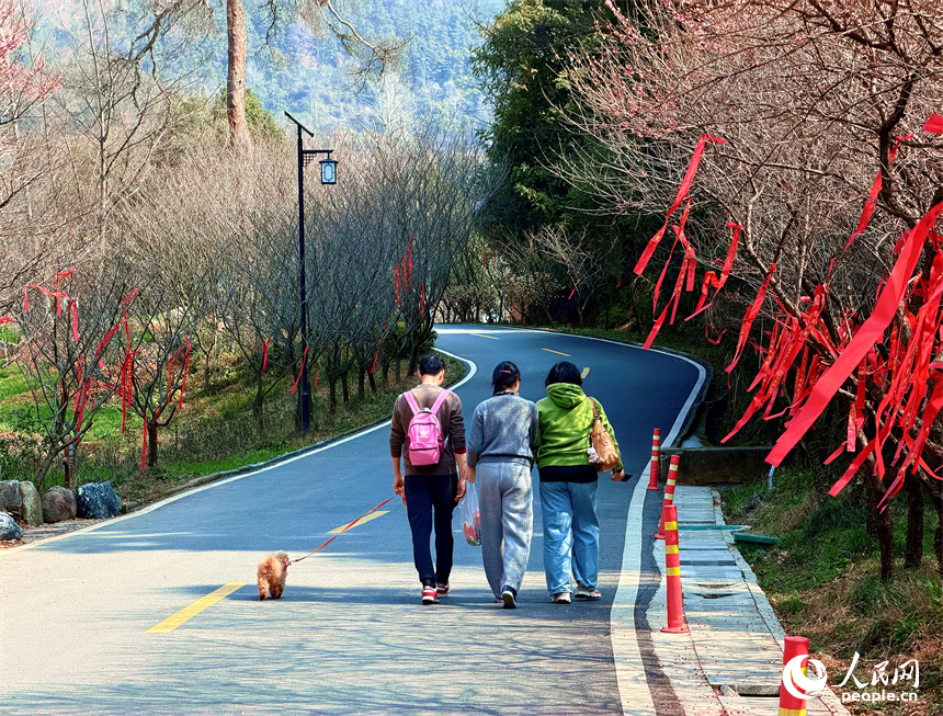 一家三口登高的背影，定格春节的温馨团圆。人民网 孟凡卓摄