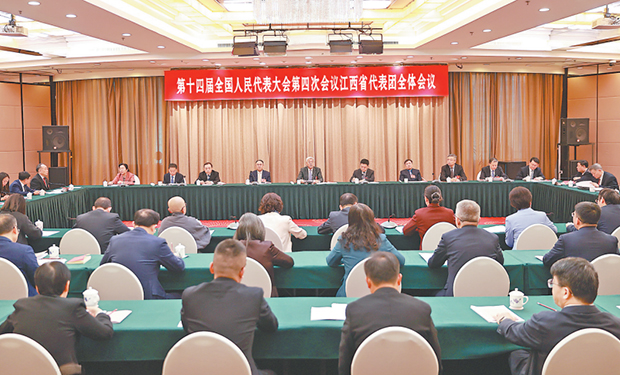 十四届全国人大四次会议江西代表团举行全体会议