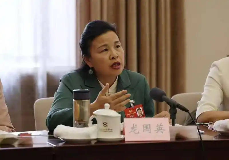 龙国英委员：助力低空经济乘势高飞
