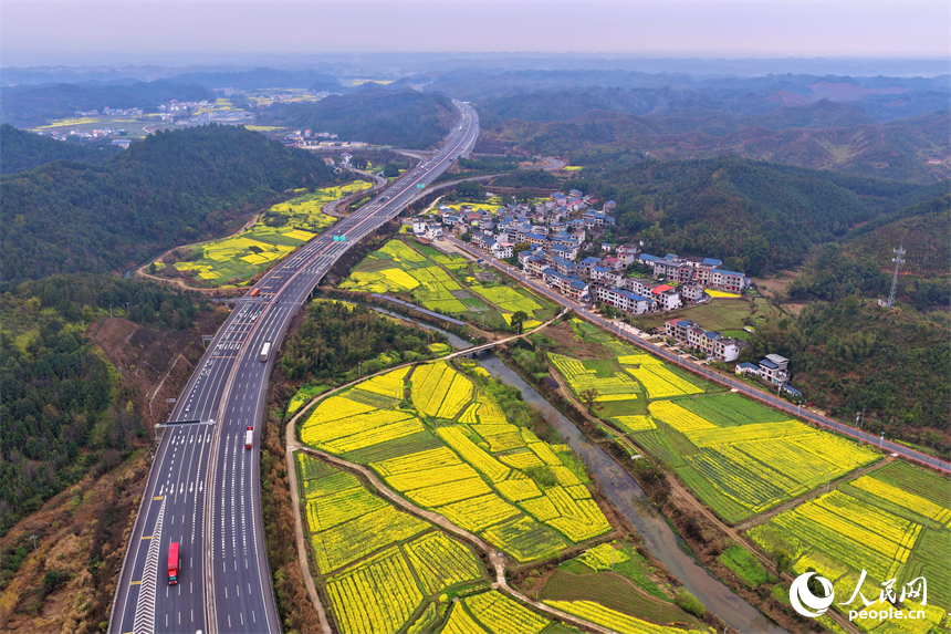 吉安市遂川县碧洲镇良岗村，大广高速公路上车辆疾驰而过，沿线油菜花竞相绽放。人民网记者 朱海鹏摄
