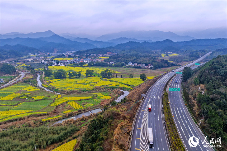 吉安市遂川縣碧洲鎮良崗村，大廣高速公路上車輛疾馳而過，沿線油菜花競相綻放。人民網記者 朱海鵬攝