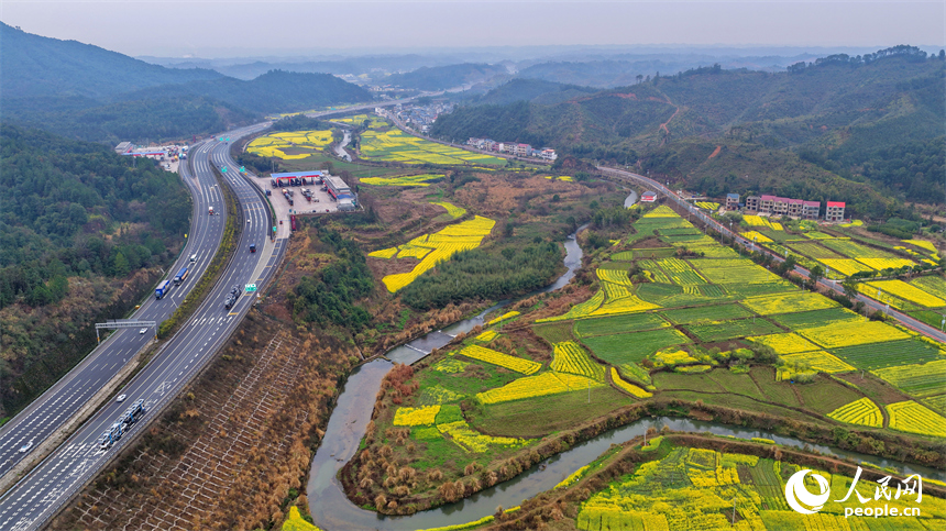吉安市遂川县碧洲镇良岗村，大广高速公路上车辆疾驰而过，沿线油菜花竞相绽放。人民网记者 朱海鹏摄