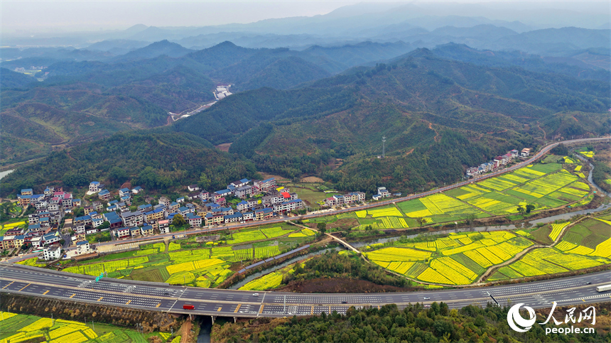 吉安市遂川县碧洲镇良岗村，大广高速公路上车辆疾驰而过，沿线油菜花竞相绽放。人民网记者 朱海鹏摄