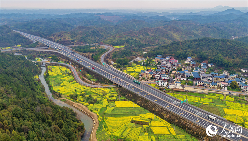 吉安市遂川县碧洲镇良岗村，大广高速公路上车辆疾驰而过，沿线油菜花竞相绽放。人民网记者 朱海鹏摄