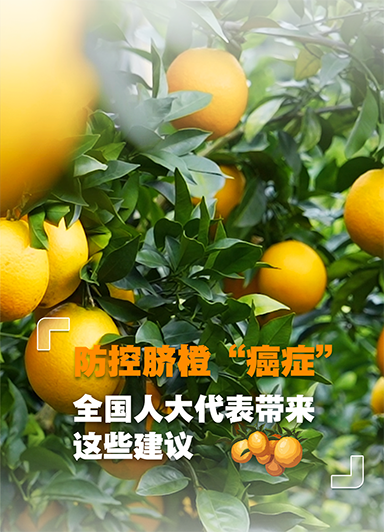 希望帮助守护好这份“甜蜜事业”