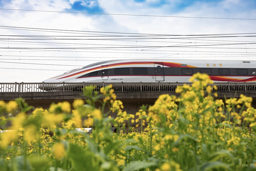 高鐵與金色花海交相輝映，構成一幅生機盎然的春日美景。胡昆偉攝