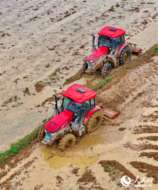 吉安市吉水縣八都鎮太山村，農機手駕駛拖拉機在耕整農田。人民網記者 朱海鵬攝