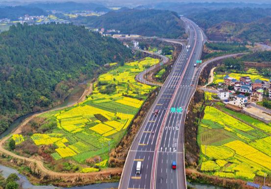 江西遂川：花開田間 路在景中
