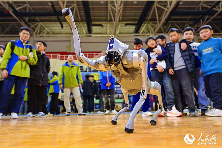 青少年学生和市民在机器人科普展现场体验机器狗、群舞机器人、下棋机器人。人民网记者 朱海鹏摄