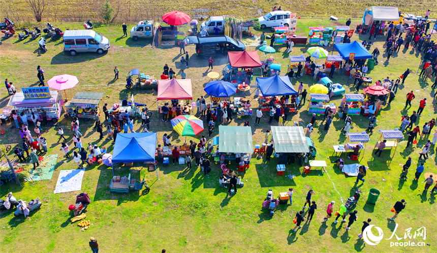 樟树市第四届七彩油菜花漫游赏花会活动现场。人民网记者 朱海鹏摄