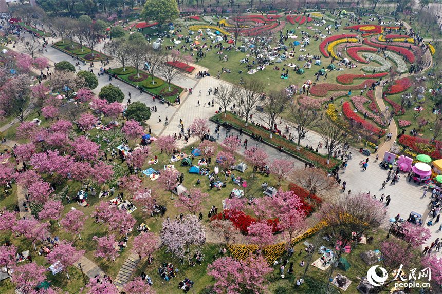 鳳凰溝內繁花似錦，游客們踏春賞花，盡享春日裡的生態之美與愜意時光。人民網記者 時雨攝