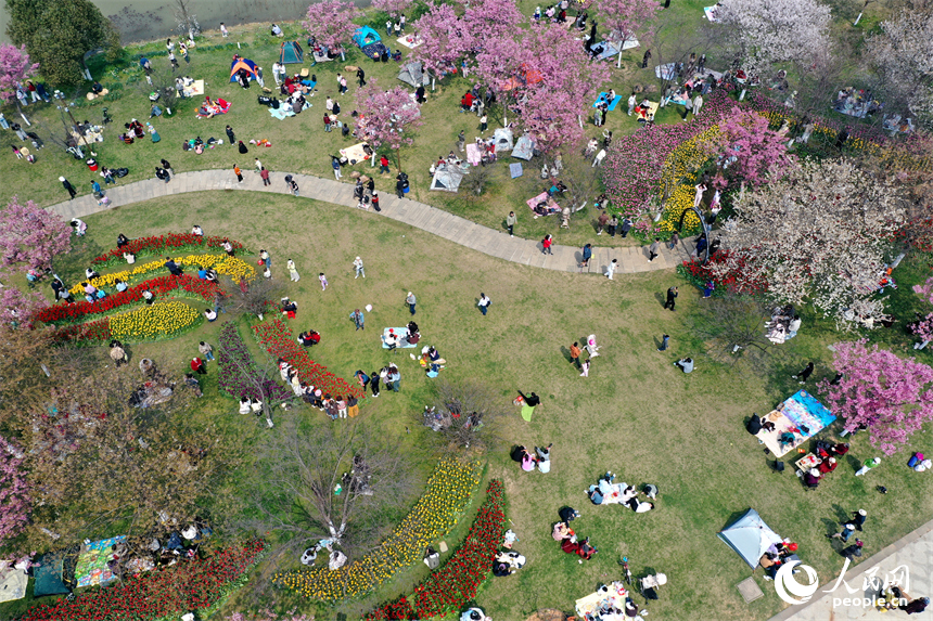 鳳凰溝內繁花似錦，游客們踏春賞花，盡享春日裡的生態之美與愜意時光。人民網記者 時雨攝