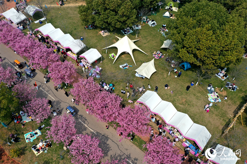 鳳凰溝內繁花似錦，游客們踏春賞花，盡享春日裡的生態之美與愜意時光。人民網記者 時雨攝