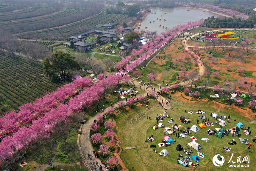 鳳凰溝內繁花似錦，游客們踏春賞花，盡享春日裡的生態之美與愜意時光。人民網記者 時雨攝