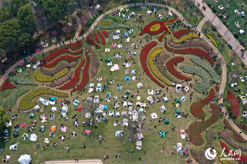 鳳凰溝內繁花似錦，游客們踏春賞花，盡享春日裡的生態之美與愜意時光。人民網記者 時雨攝