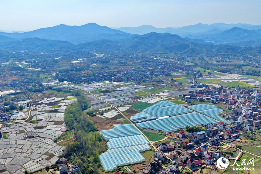 贛州市興國縣高興鎮文溪村，田壟縱橫、大棚林立，民居與青山相映成景，呈現一幅春日秀美田園畫卷。人民網記者 朱海鵬攝