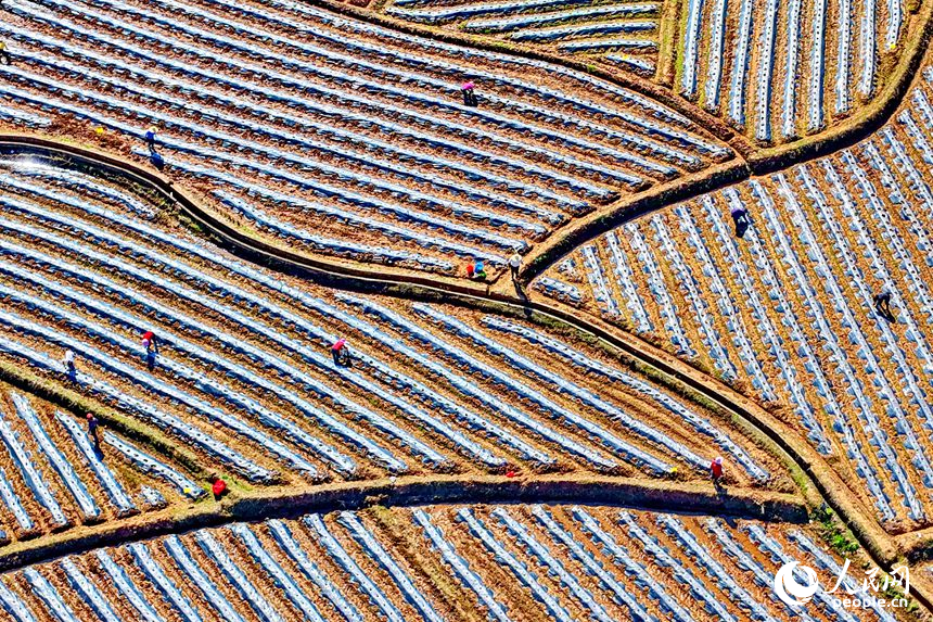 村民忙着栽种蔬菜、瓜果等农作物。人民网记者 朱海鹏摄