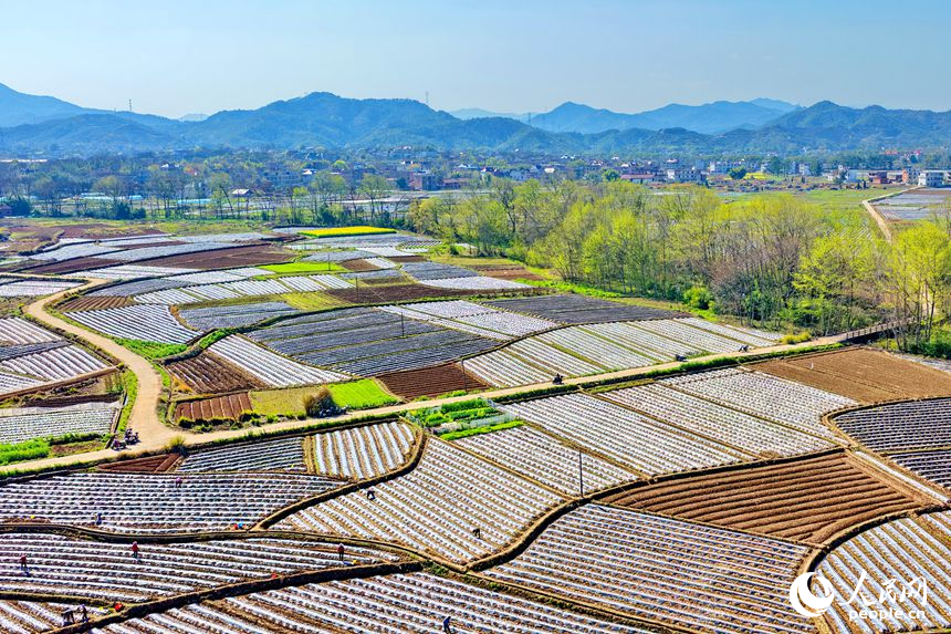 村民忙着栽种蔬菜、瓜果等农作物。人民网记者 朱海鹏摄