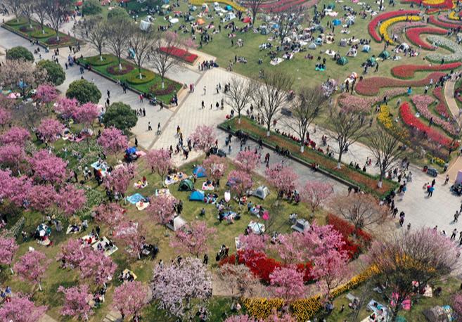 江西南昌：春和景明 踏春賞花正當時