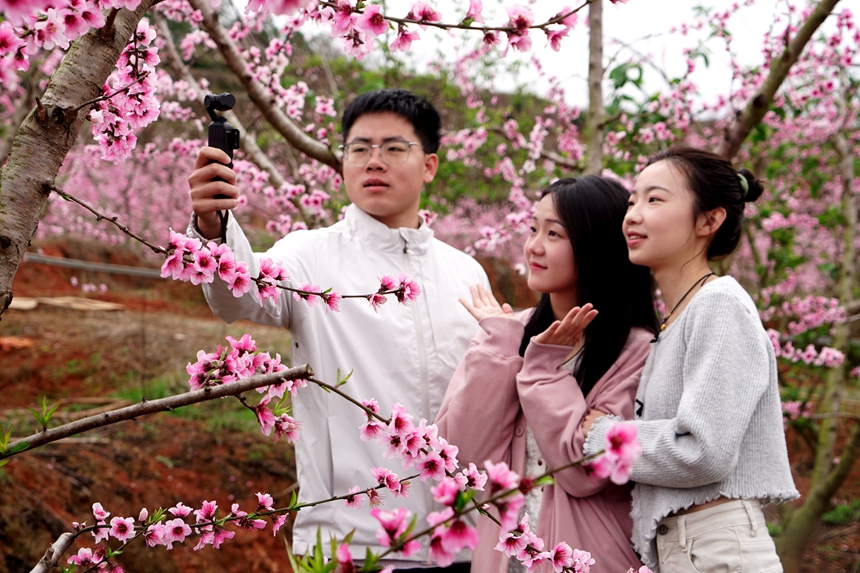 江西广昌：桃林花开引客来