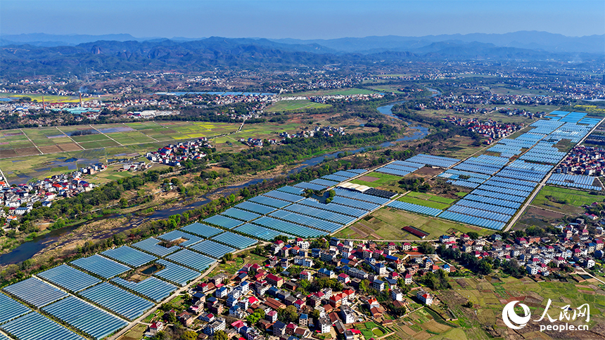 赣州市兴国县潋江镇杨澄村的一处设施农业种植基地，整齐排列的薄膜大棚蔚为壮观。人民网记者 朱海鹏摄