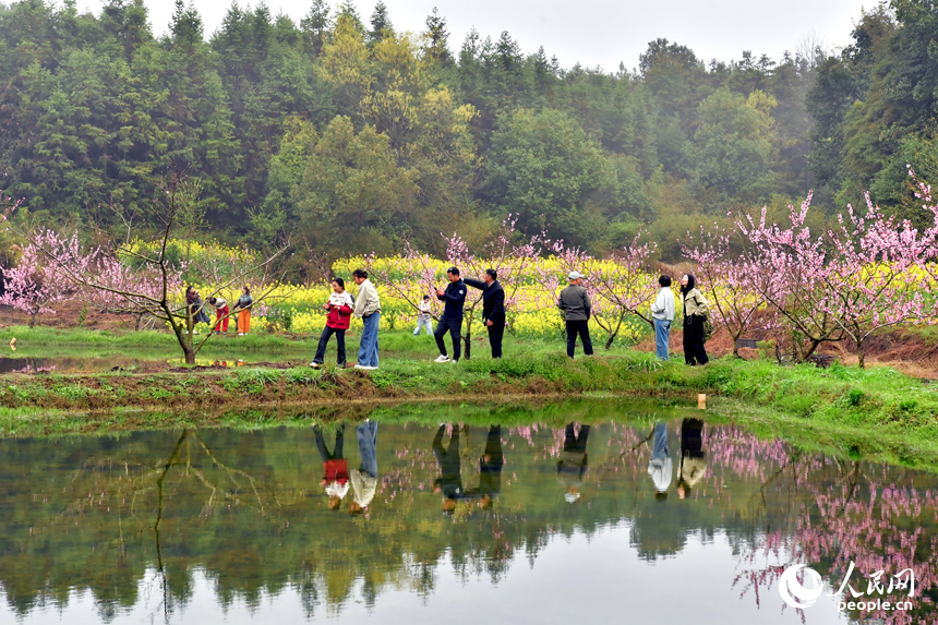 游客们正在踏青赏花。人民网记者 时雨摄