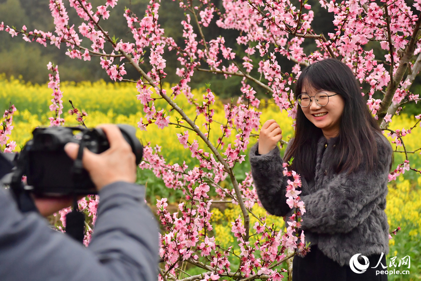 游客正在桃树旁拍照打卡。人民网记者 时雨摄
