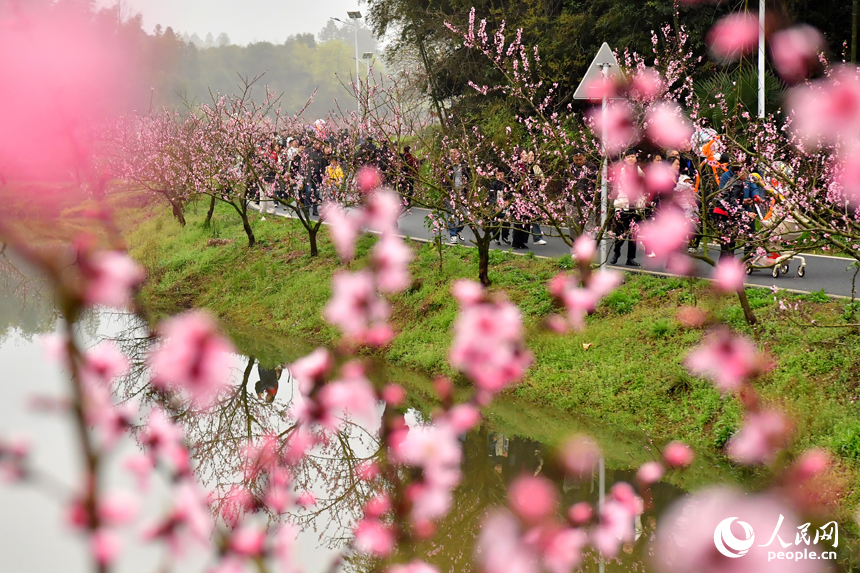 市民和游客纷至沓来，踏青赏花，享受春日时光。人民网记者 时雨摄