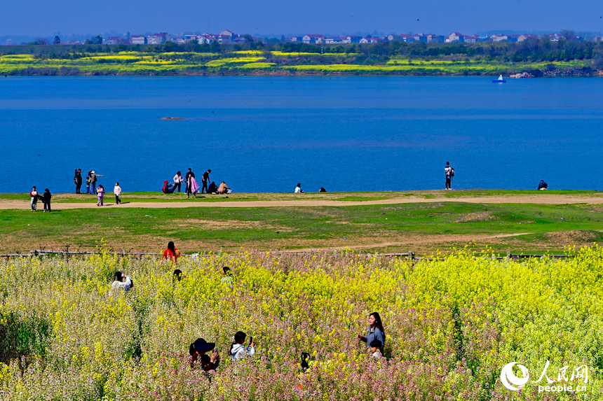色彩斑斕的美景吸引許多游客前來觀賞游玩。人民網記者 朱海鵬攝