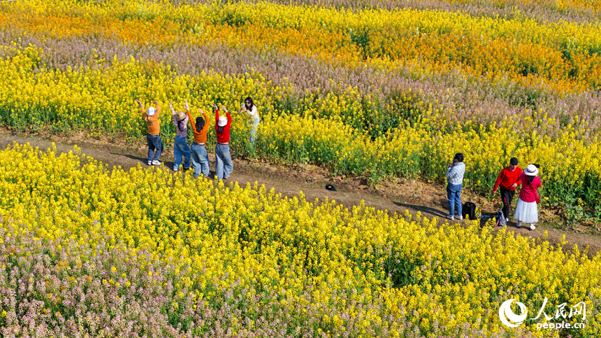 色彩斑斕的美景吸引許多游客前來觀賞游玩。人民網記者 朱海鵬攝